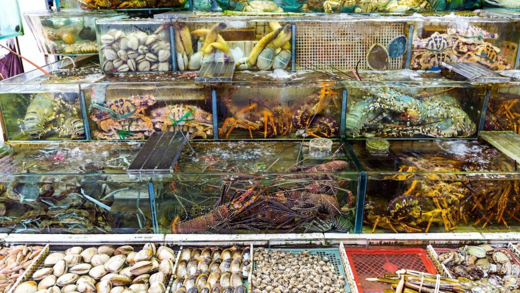 사이쿵 해산물 레스토랑-홍콩 음식-홍콩 꼭 먹어봐야 할 것-홍콩 음식