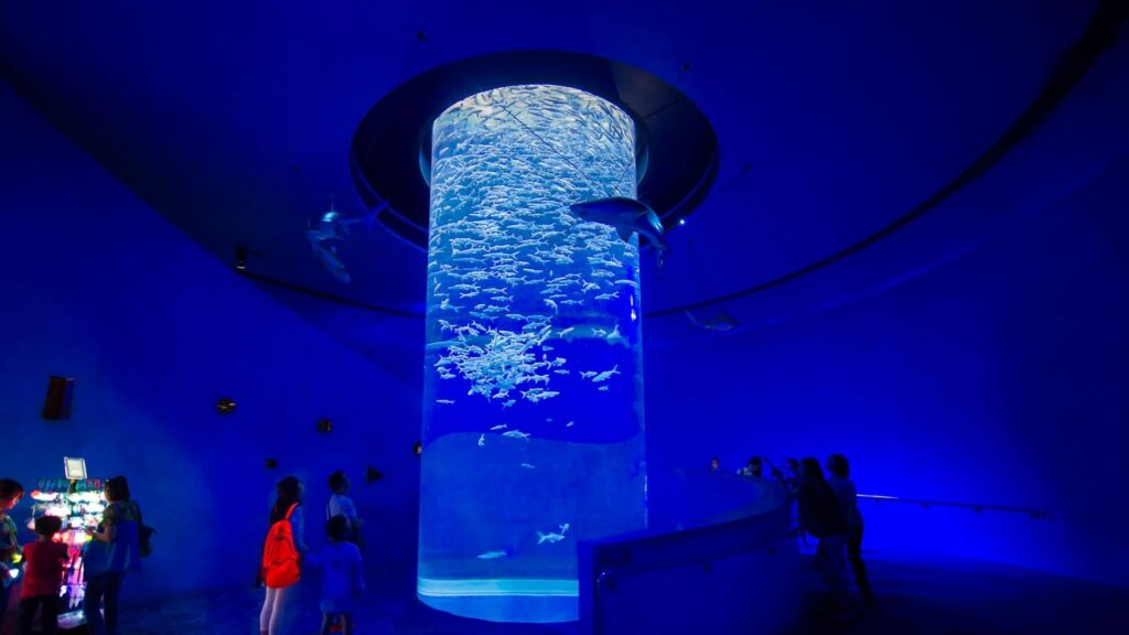 香港海洋公园-水族馆-海洋奇观