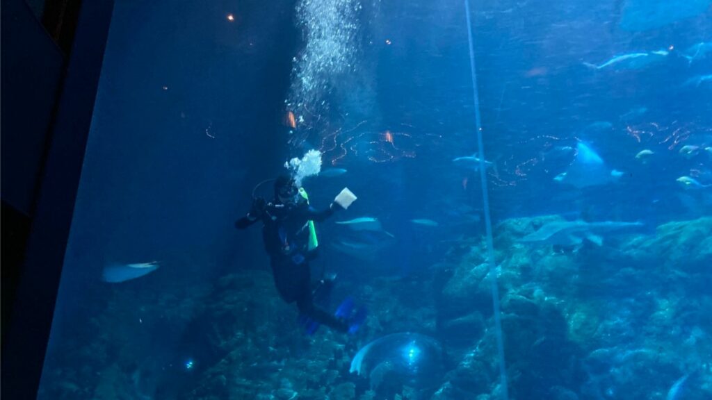 ฮ่องกงโอเชียนปาร์ค-พิพิธภัณฑ์สัตว์น้ำ-Ocean Wonders