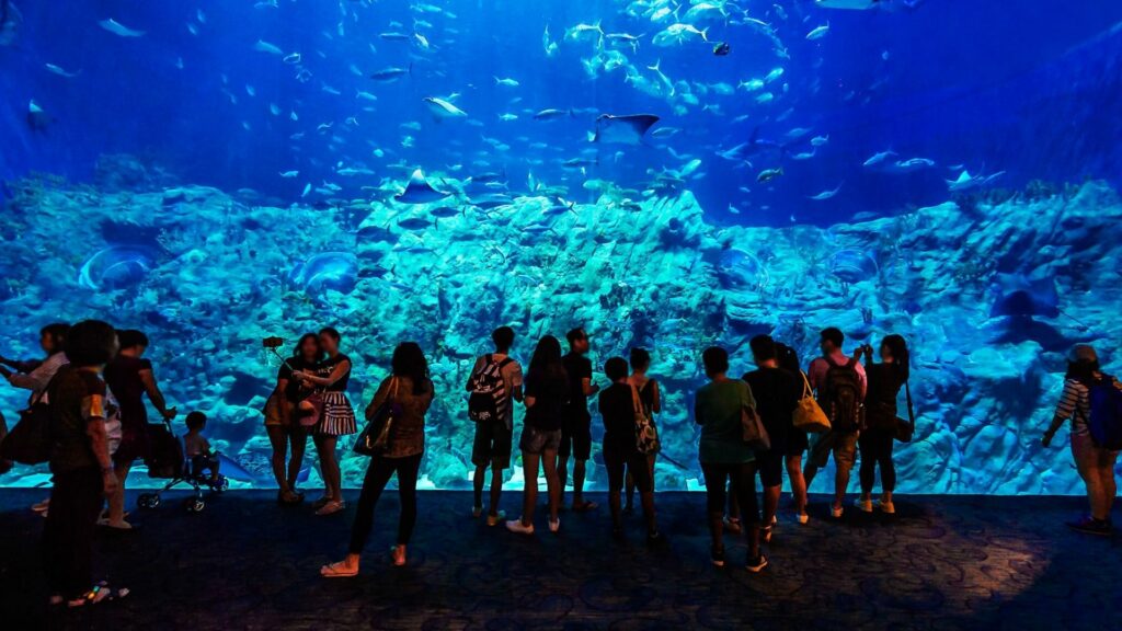 Hong Kong Ocean Park-Aquarium-Ocean Wonders