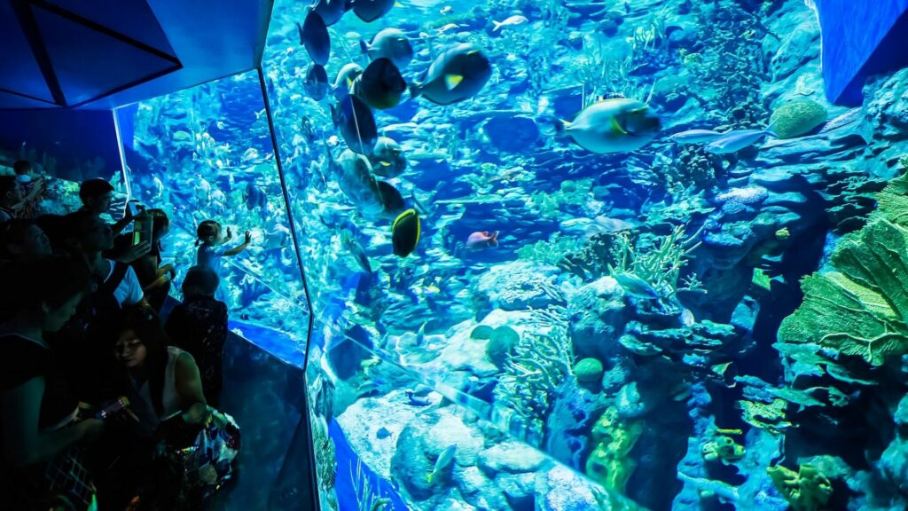 Hong Kong Ocean Park-Aquarium-Ocean Wonders