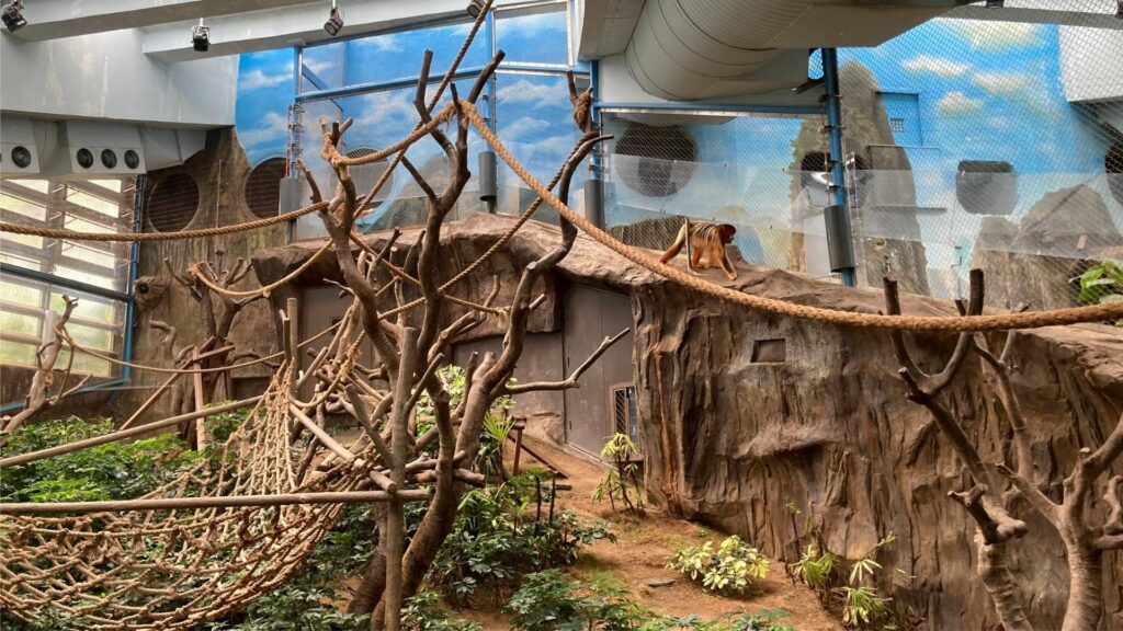 โอเชียนปาร์ค ฮ่องกง-ศาลาเสฉวน-อุรังอุตัง