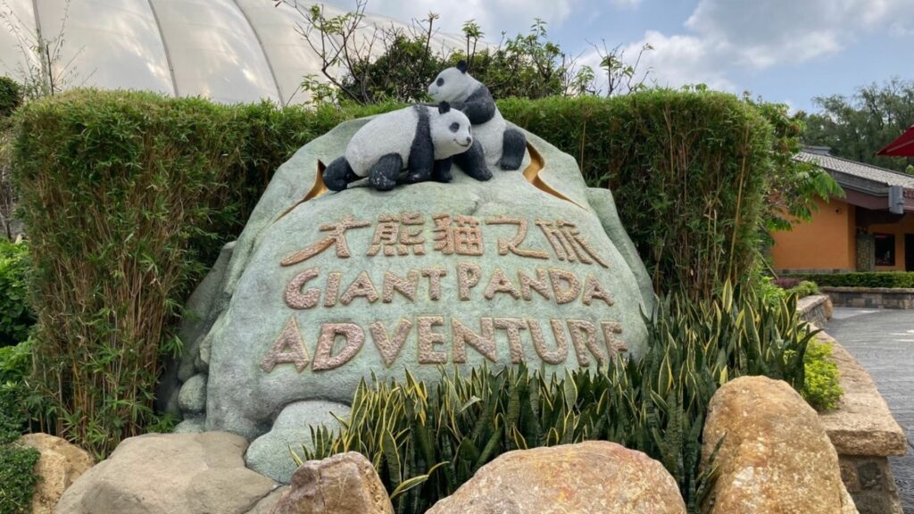 Ocean Park Hong Kong-Giant Panda Tour