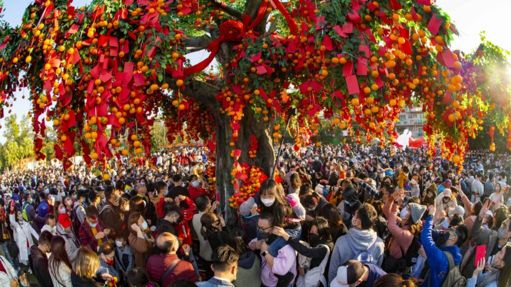 홍콩 설날 – Tai Po Lam Tsuen 소원 나무
