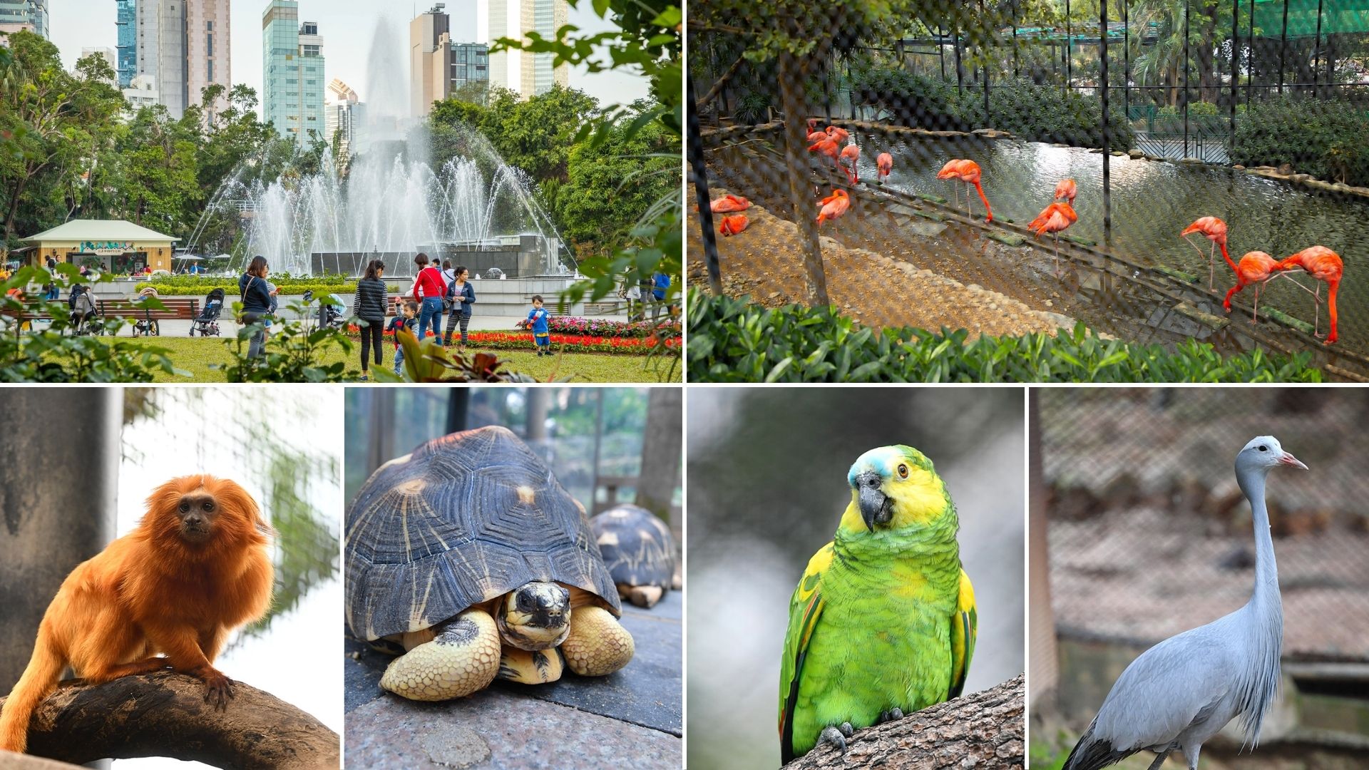 香港スポット:香港動植物公園