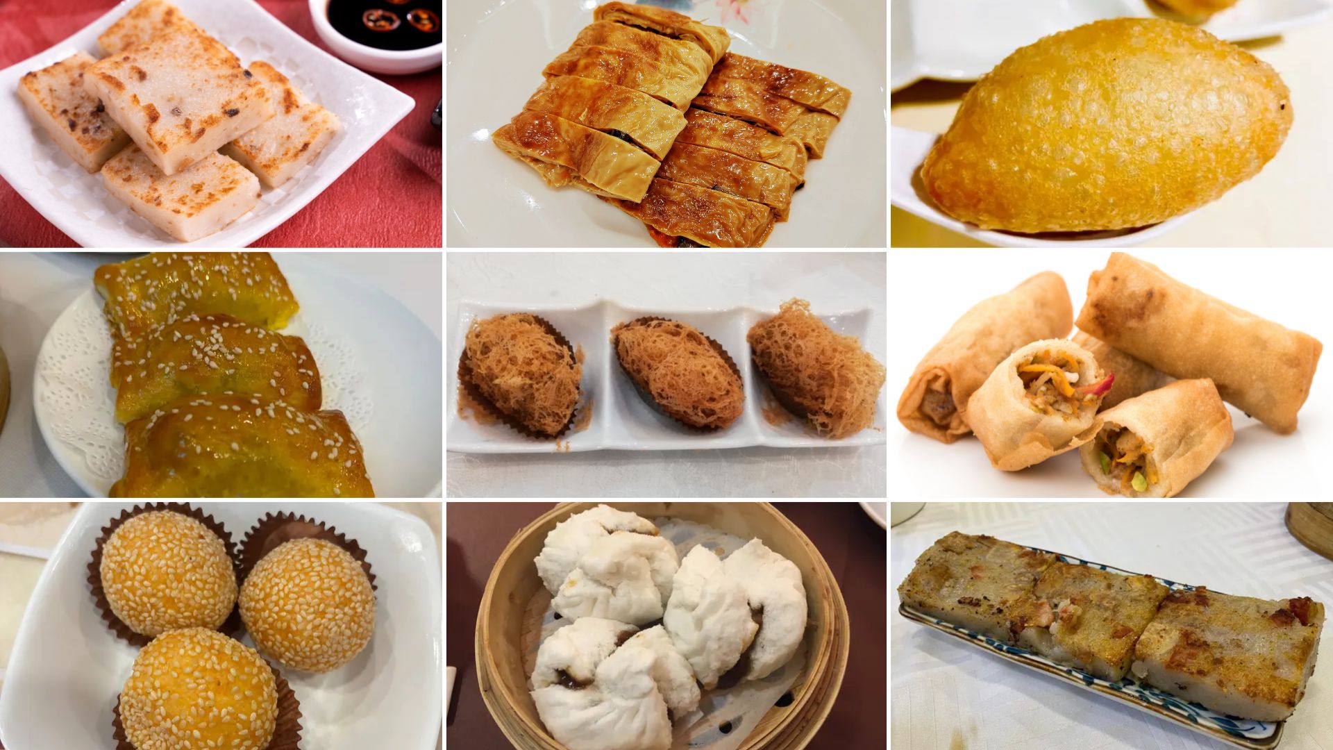 Hong Kong Fried Dim Sum: Turnip Cake, Sesame Balls, Spring Rolls